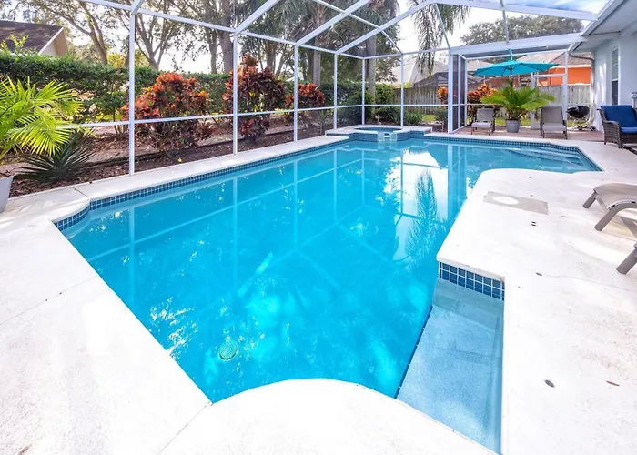 Palm Harbor Paradise - Spacious Home In Quiet Neighborhood With Heated Pool, Billiard Room, Hot Tub